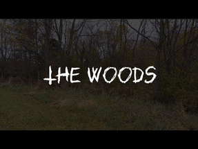 The Woods: a short horror film (Halloween special) poster