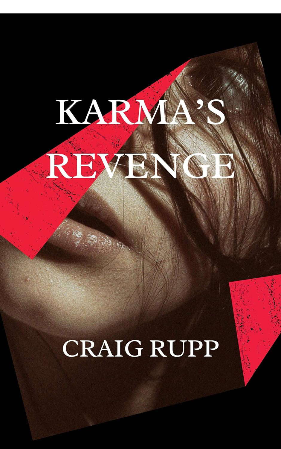 Karma's Revenge poster