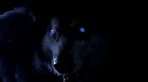 episode poster