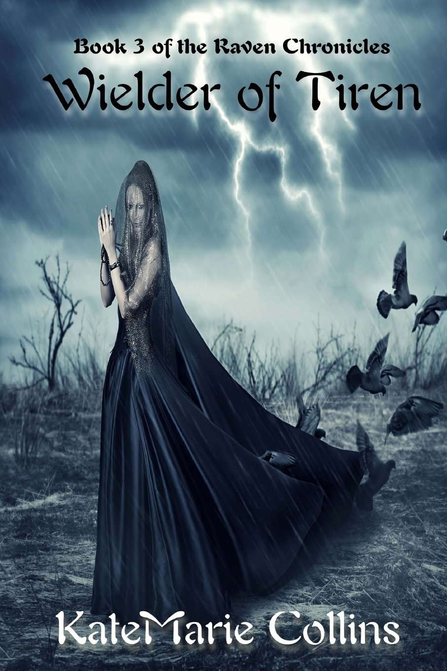 Wielder of Tiren (The Raven Chronicles) poster