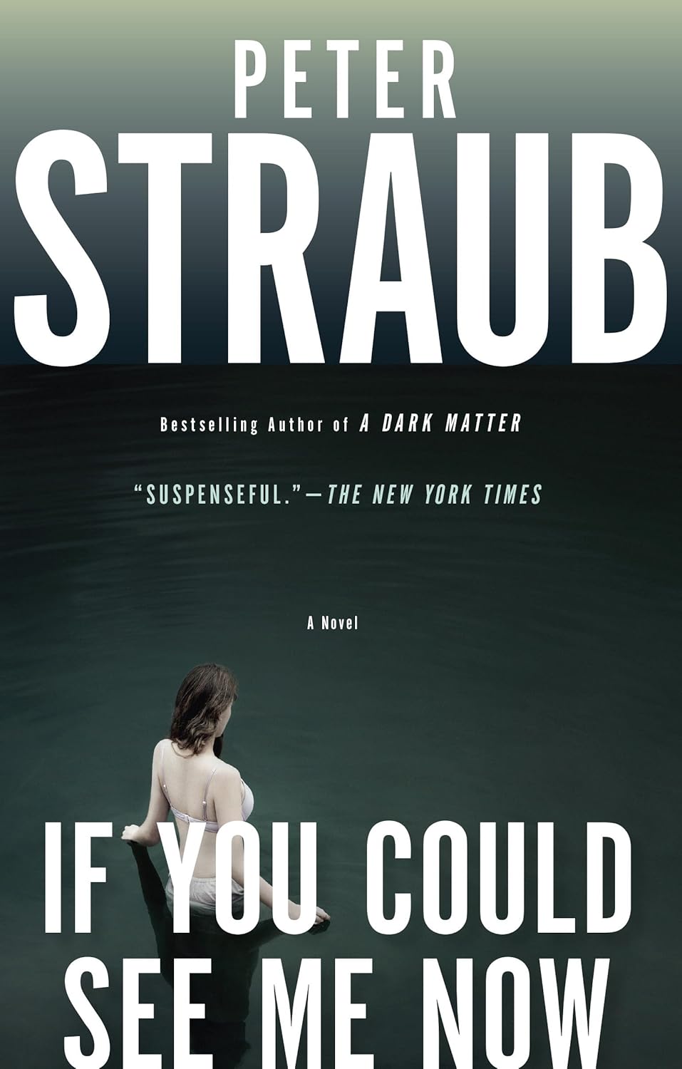If You Could See Me Now poster