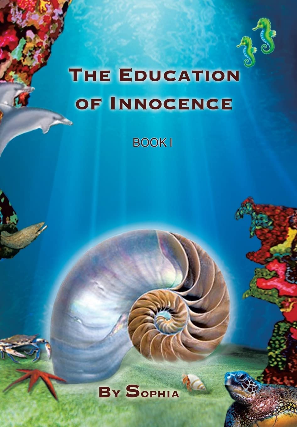 The Education of Innocence poster