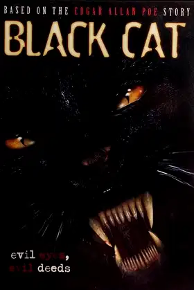 Black Cat poster