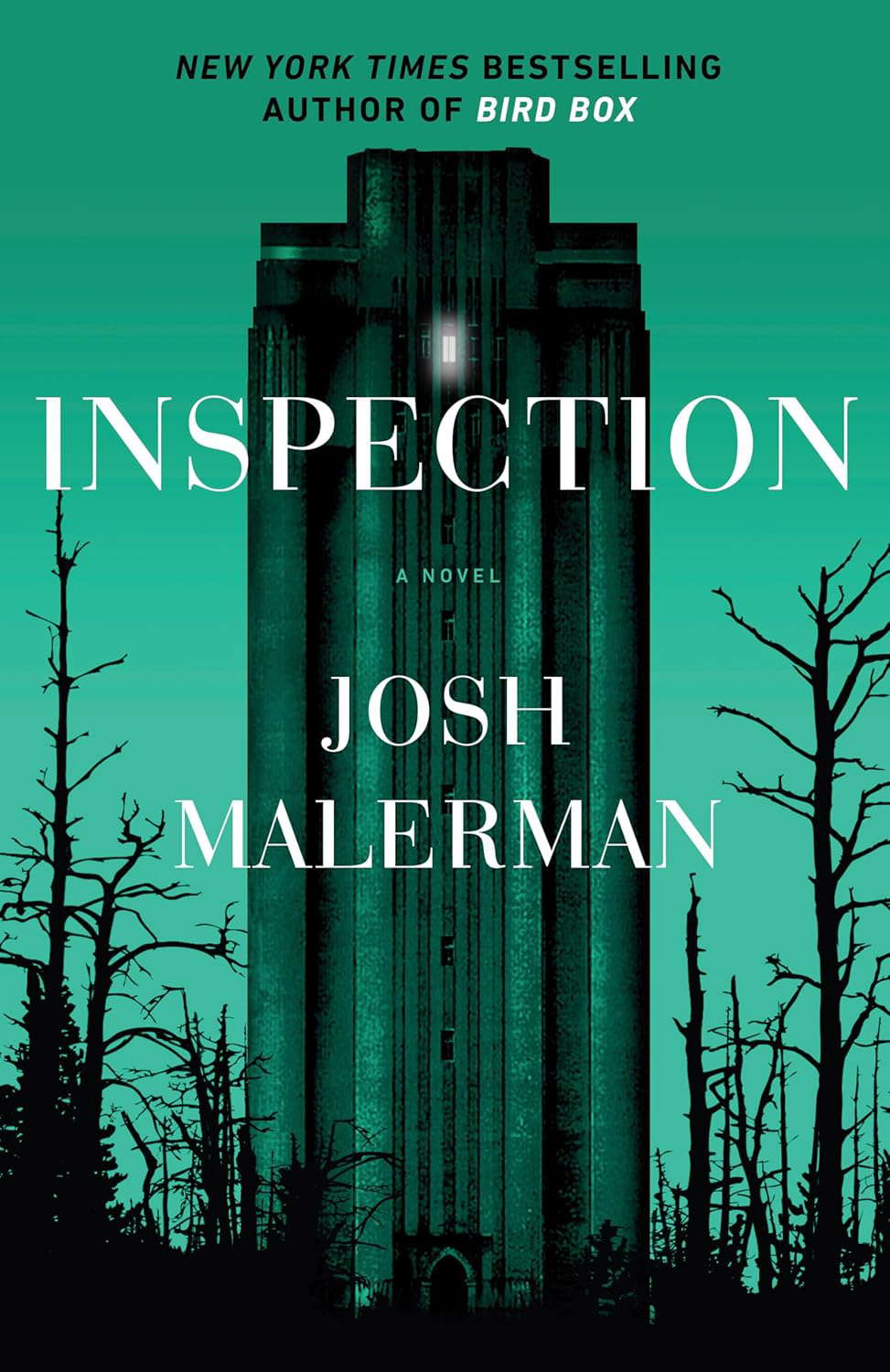 Inspection: A Novel poster