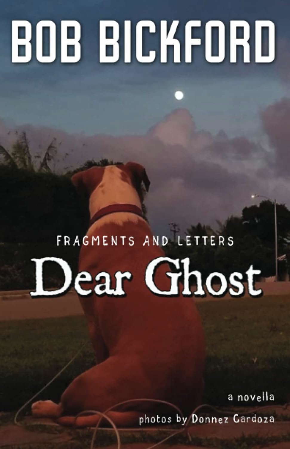 Dear Ghost: Fragments and Letters poster