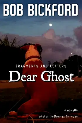Dear Ghost: Fragments and Letters poster