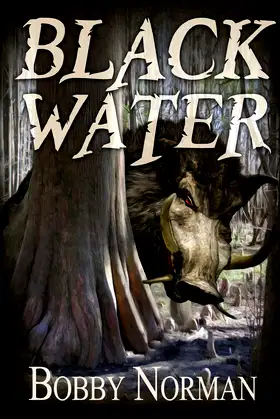 Black Water poster
