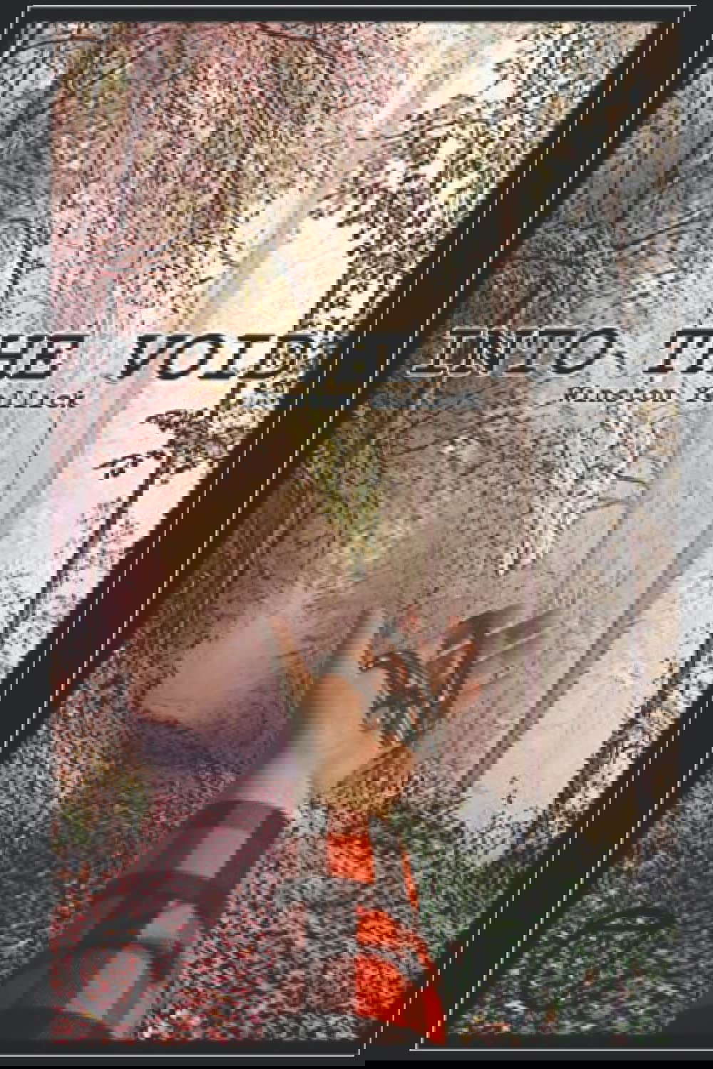 Into The Void poster
