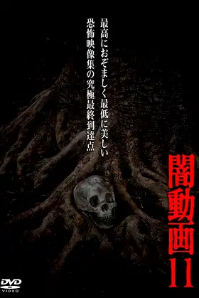 Tokyo Videos of Horror 11 poster