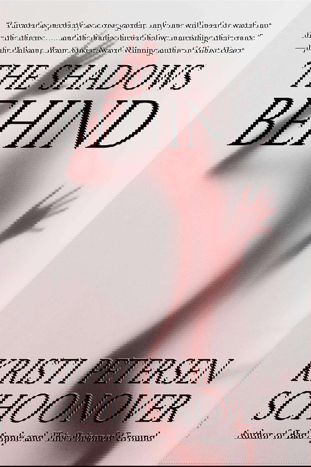 The Shadows Behind poster