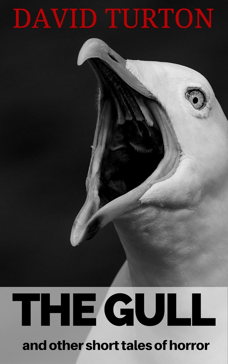 The Gull: and other short tales of horror poster