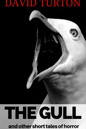 The Gull: and other short tales of horror poster