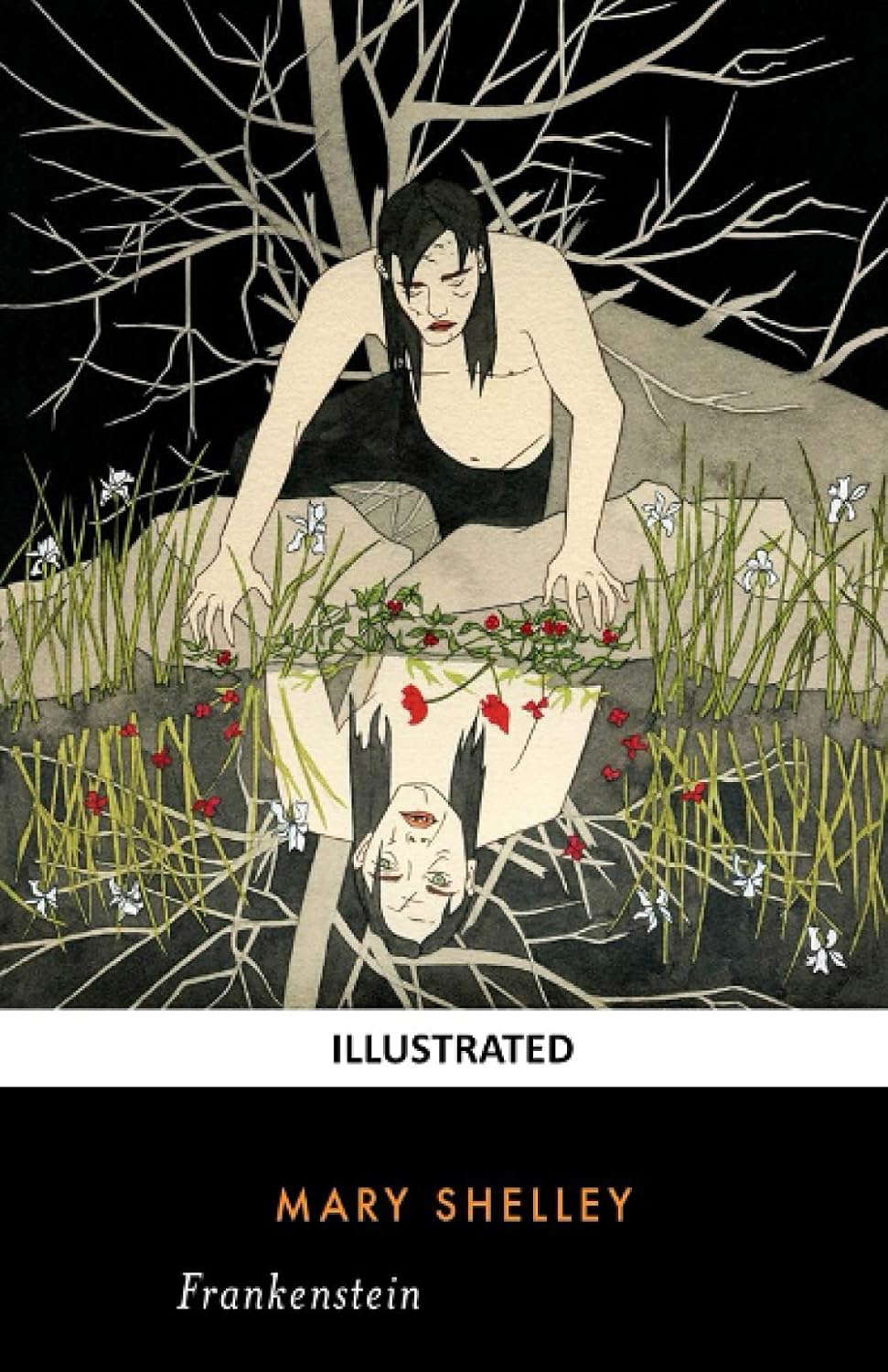 Frankenstein (Illustrated) poster