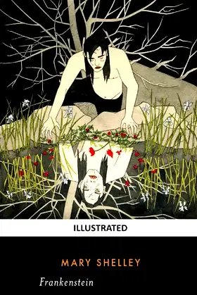 Frankenstein (Illustrated) poster