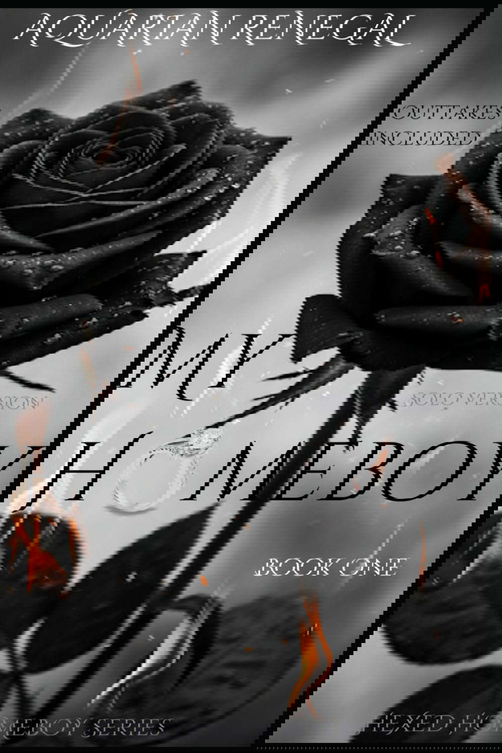 MY HOMEBOY: BOOK ONE (HEXED HOMEBOY) poster