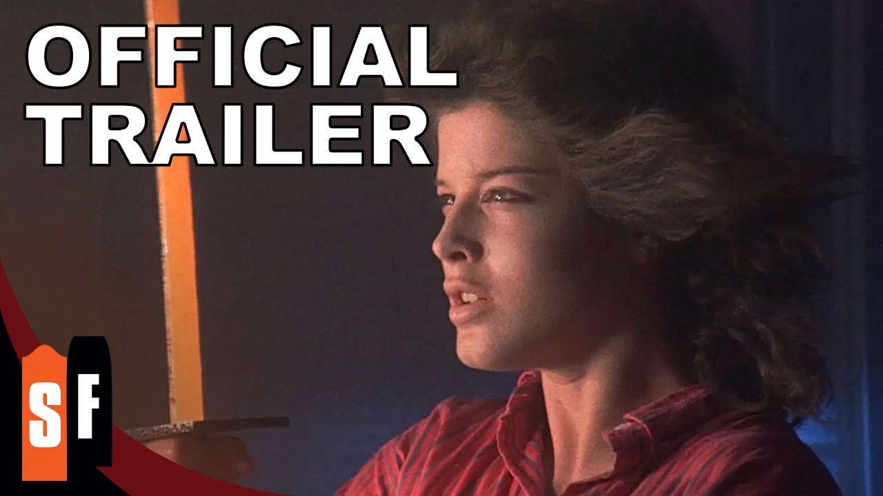 Poster for Ninja III: The Domination