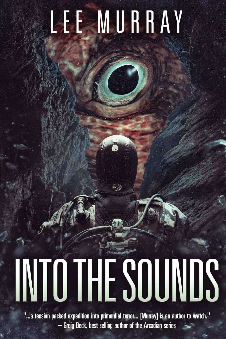 Into The Sounds poster