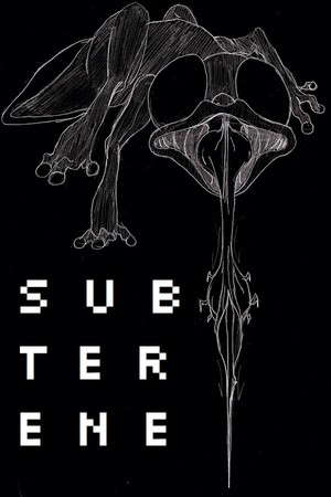 Subterene poster