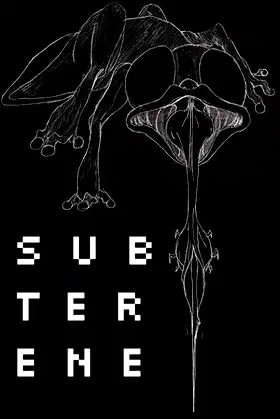 Subterene poster