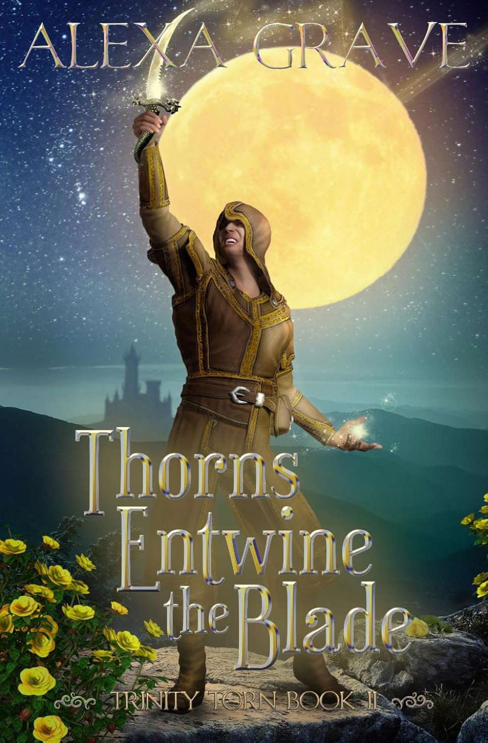 Thorns Entwine the Blade (Trinity Torn, 2) poster
