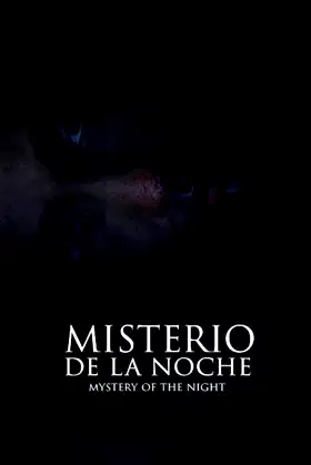 Mystery of the Night poster