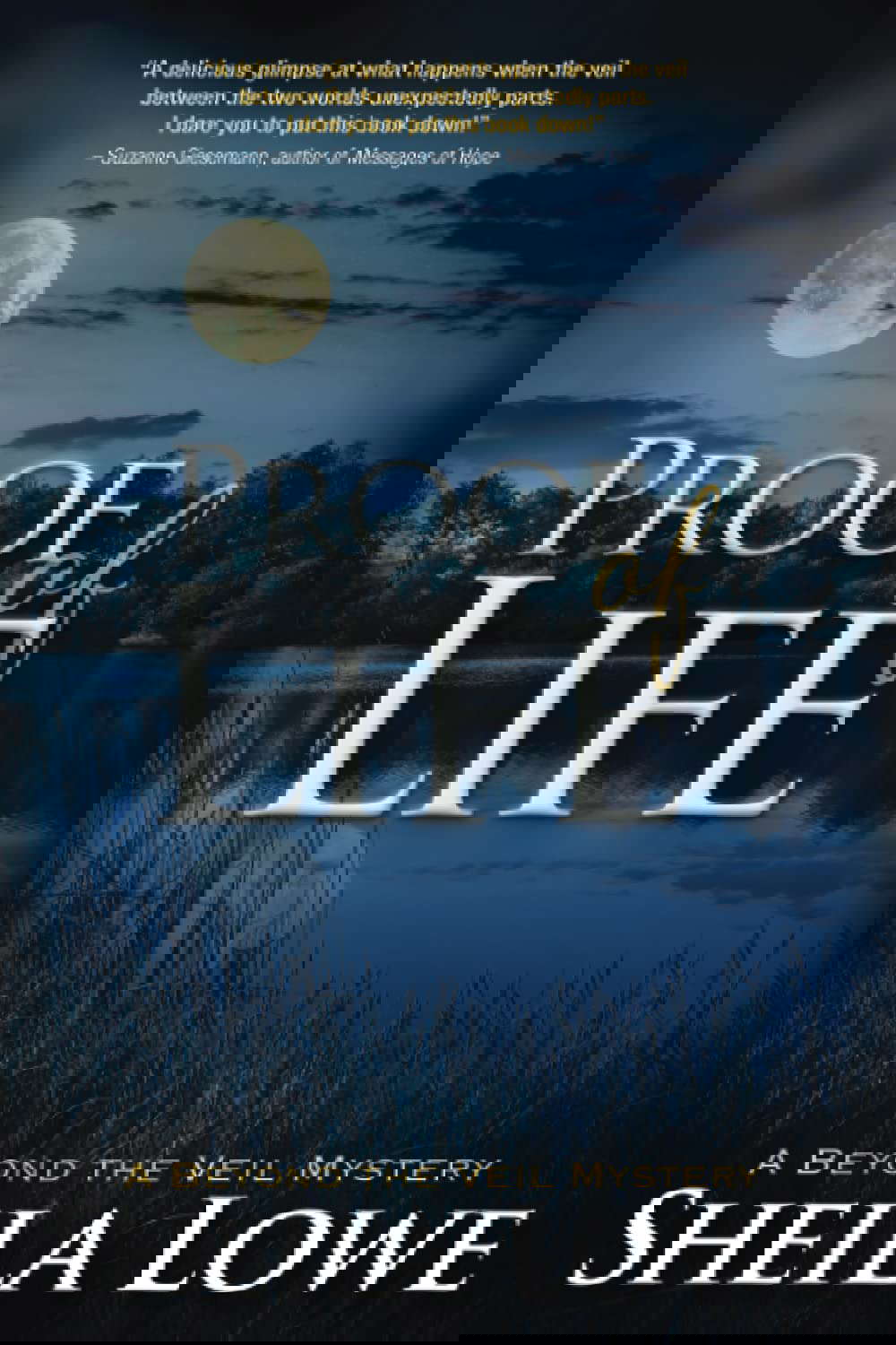 Proof of Life (Beyond the Veil Mystery) poster
