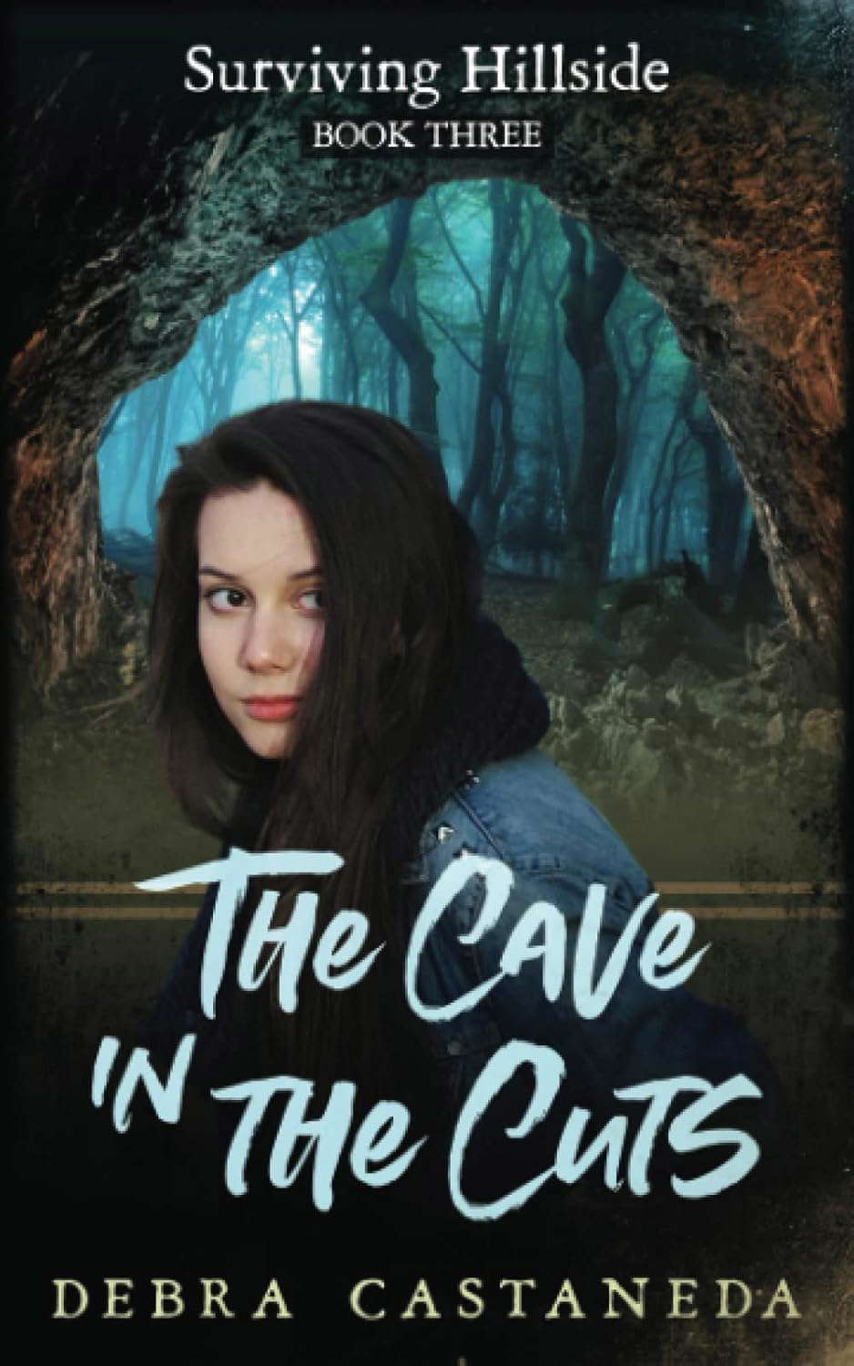 The Cave in The Cuts: Surviving Hillside Book 3 poster