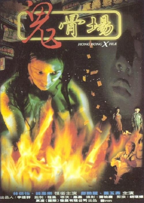 Hong Kong X File poster