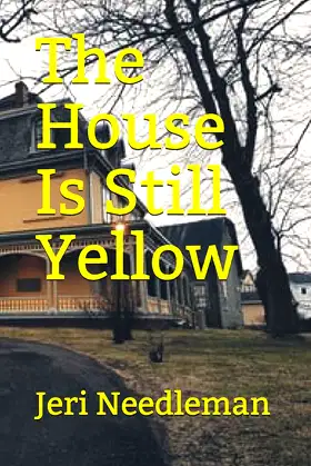 The House Is Still Yellow poster