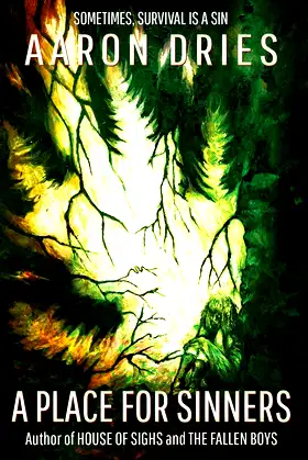 A Place For Sinners poster