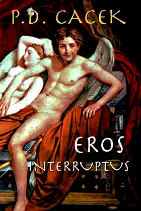 Eros Interruptus poster
