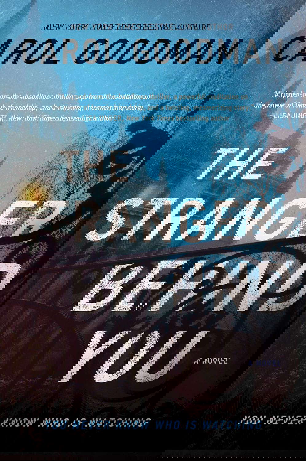 The Stranger Behind You: A Novel poster