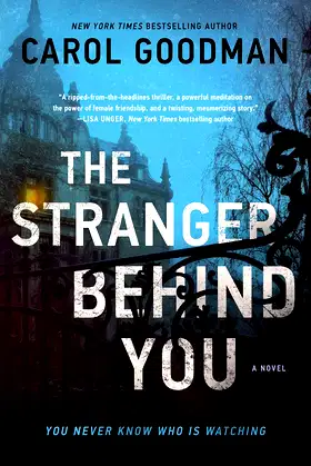 The Stranger Behind You: A Novel poster