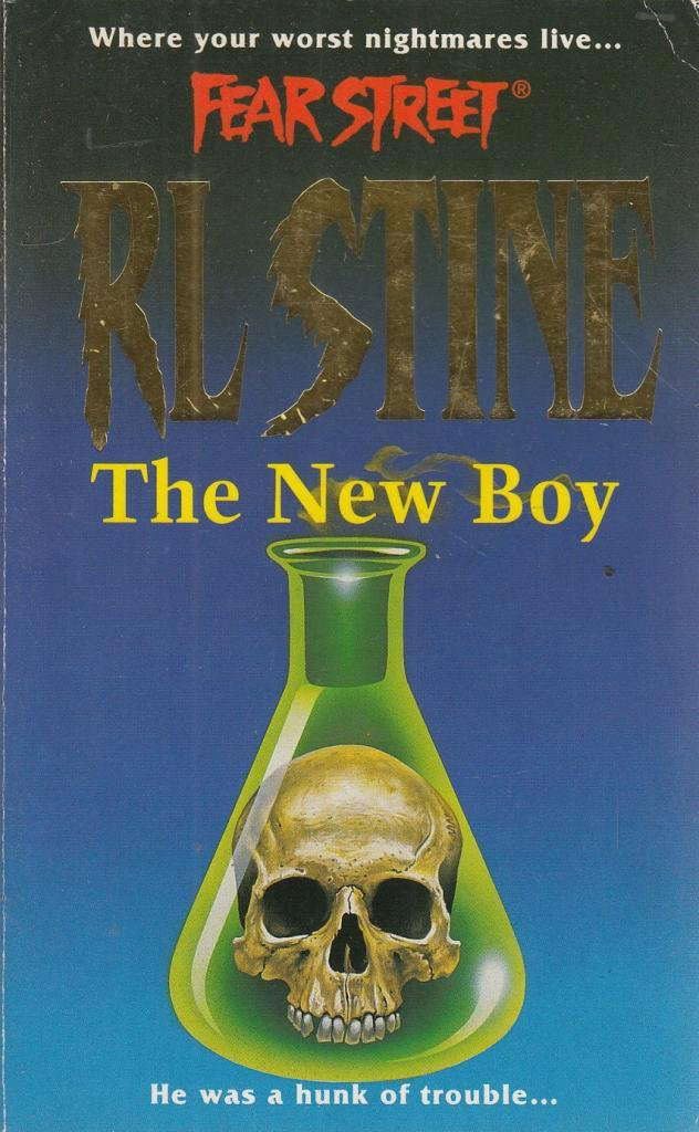 The New Boy (Fear Street, No. 20) poster