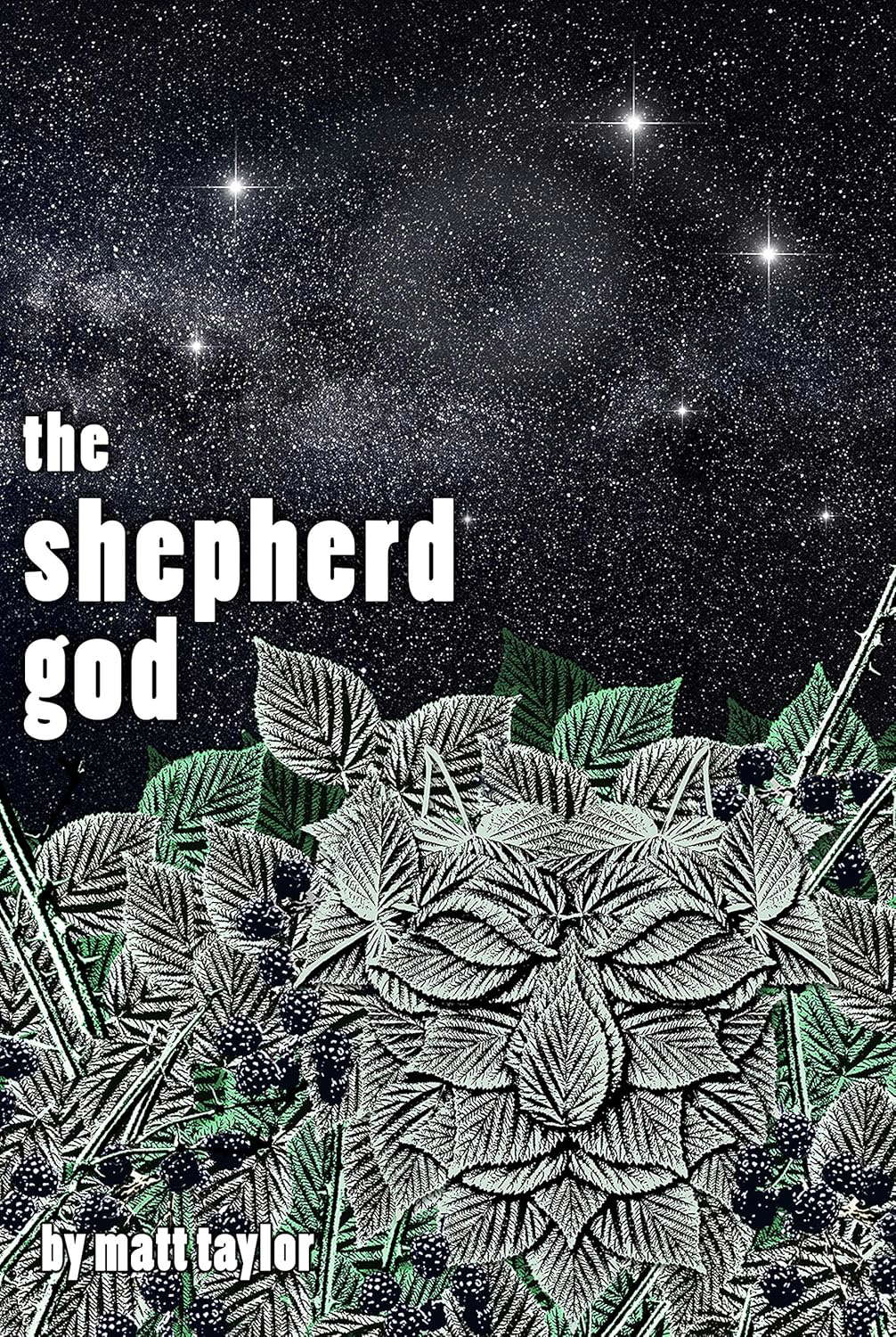 The Shepherd God poster
