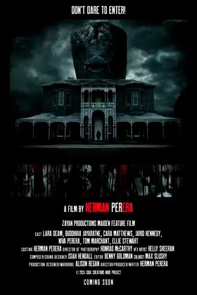 Sunny's Mansion poster