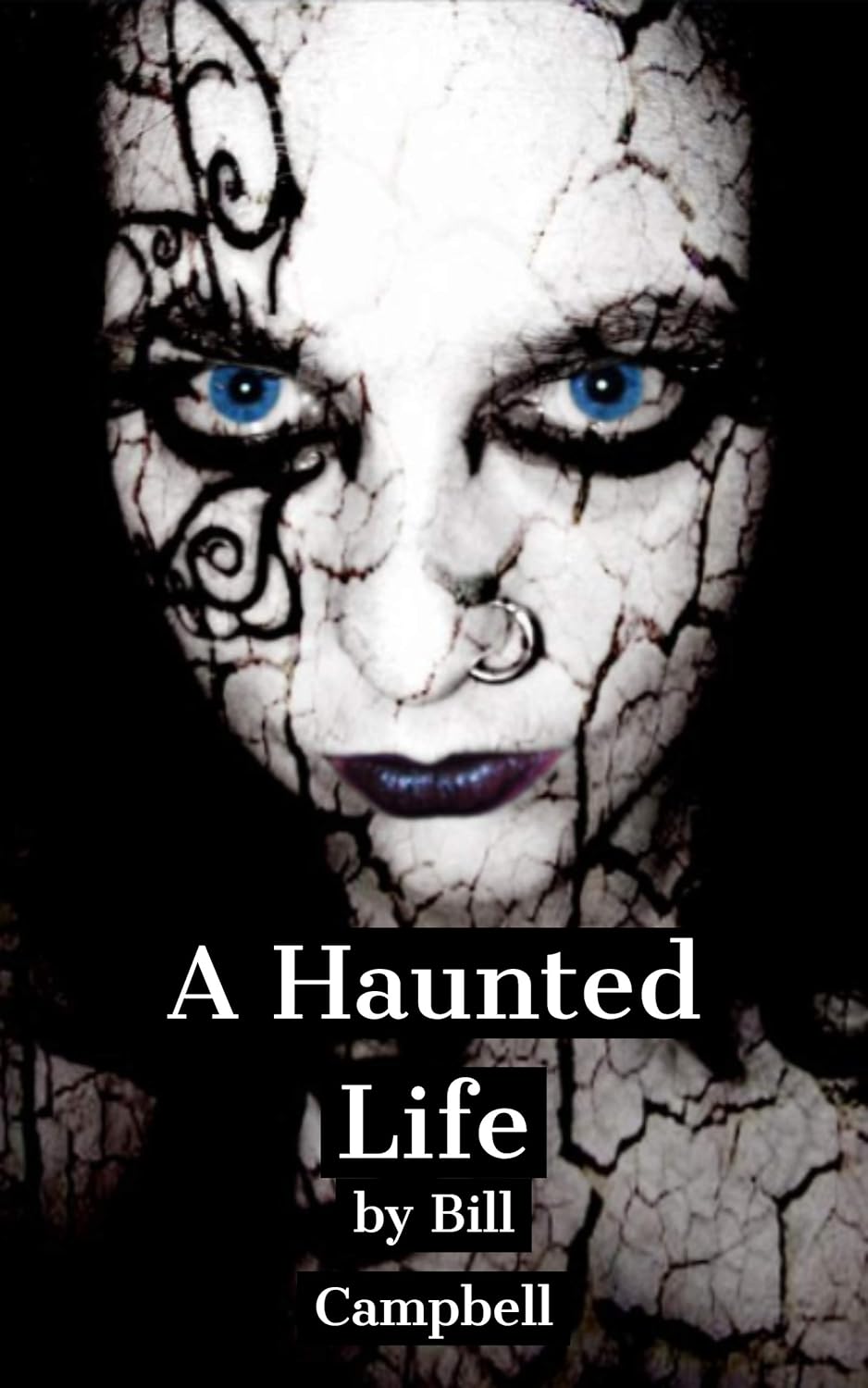 A Haunted Life poster