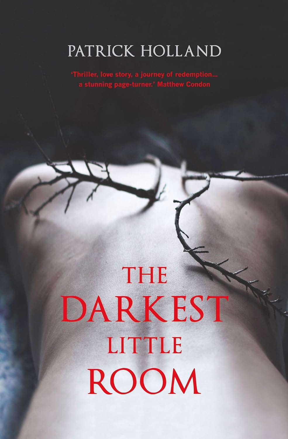 The Darkest Little Room poster