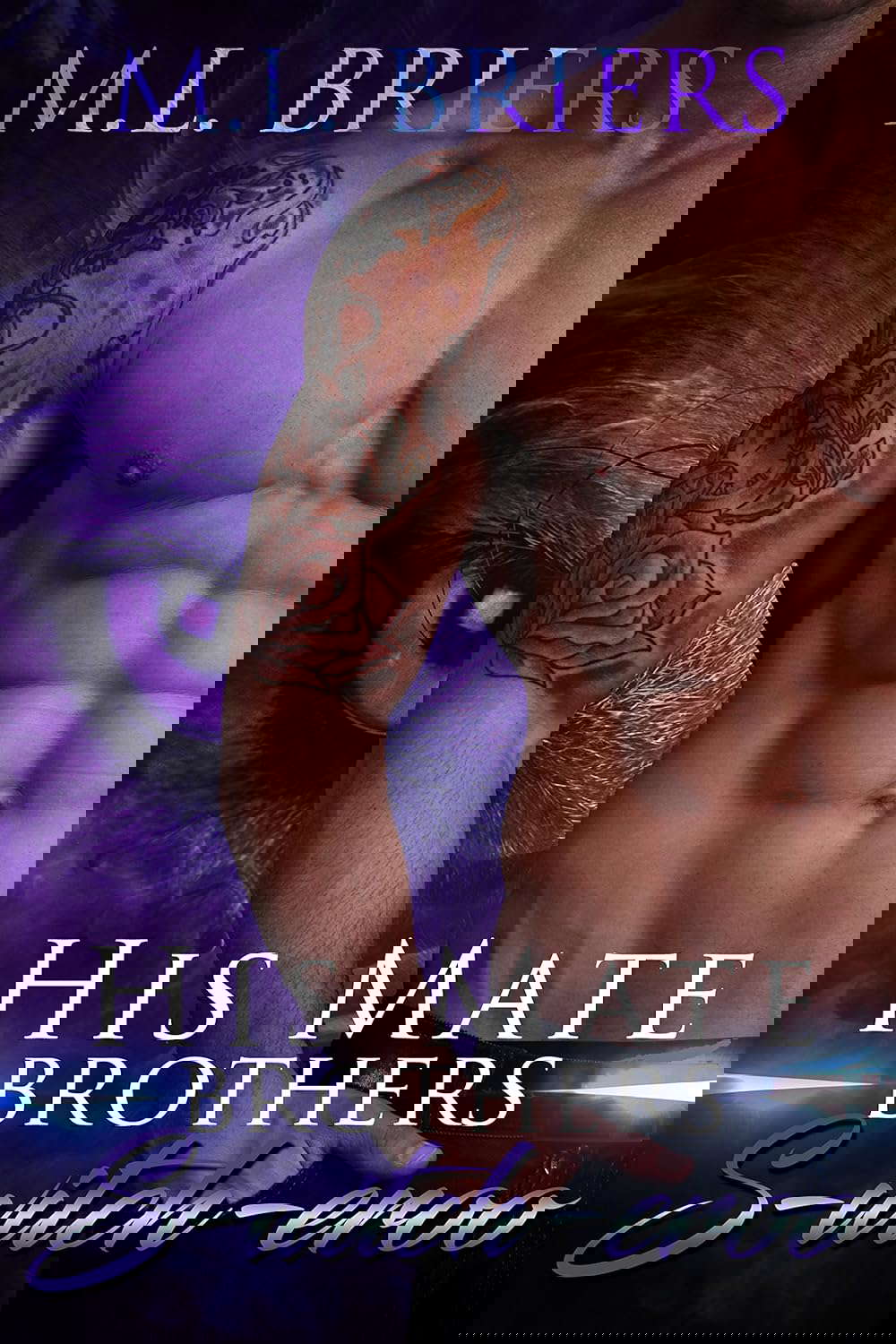 His Mate - Brothers - S-witch-eroo: Paranormal Romantic Comedy poster