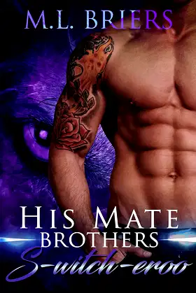 His Mate - Brothers - S-witch-eroo: Paranormal Romantic Comedy poster