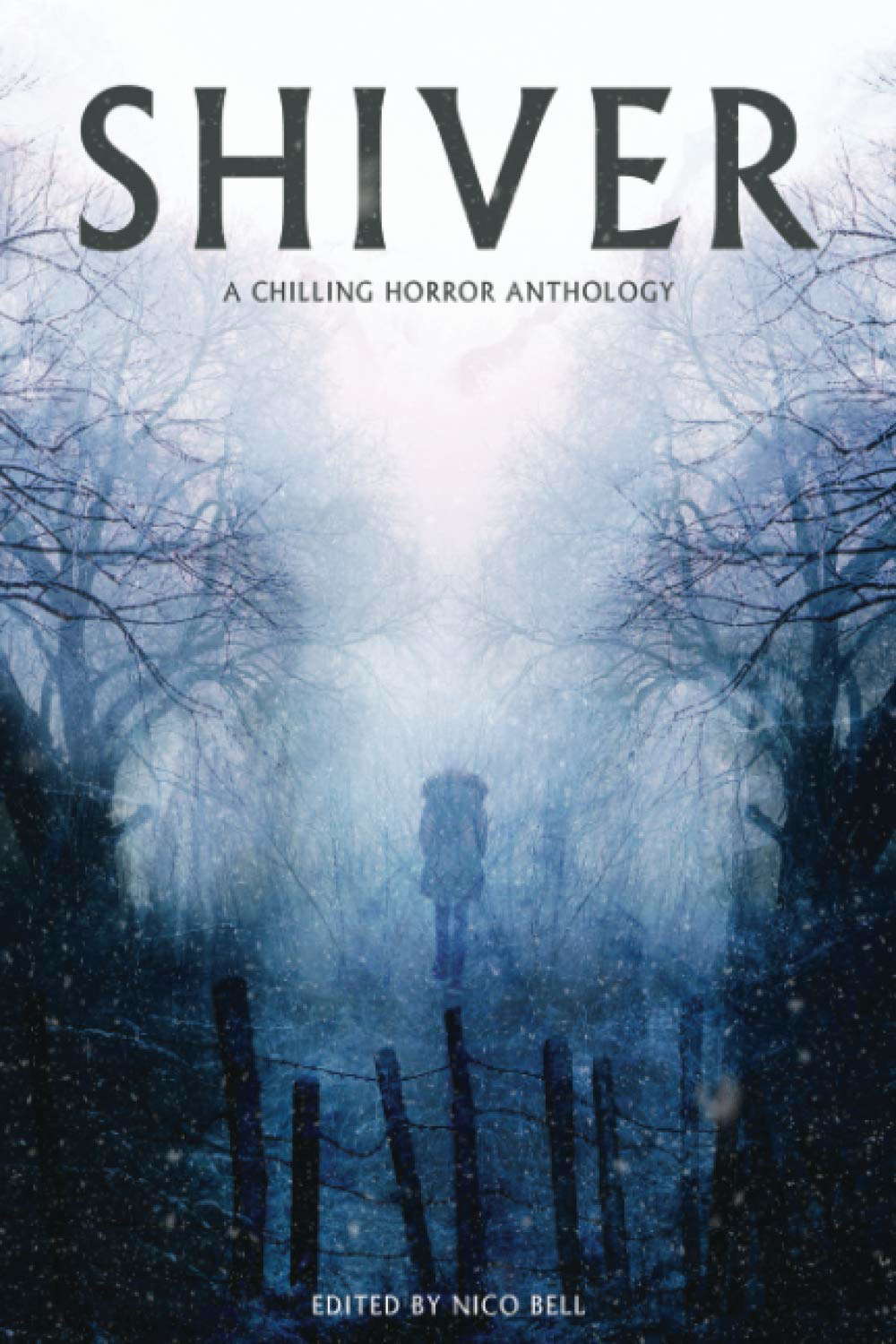 Shiver: A Chilling Horror Anthology poster