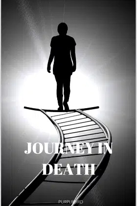 JOURNEY IN DEATH poster