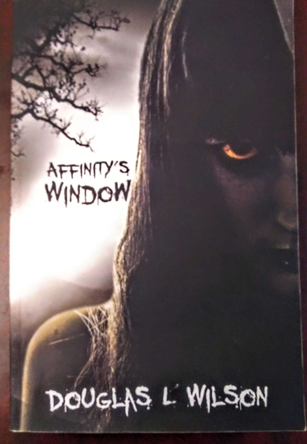 Affinity's Window poster