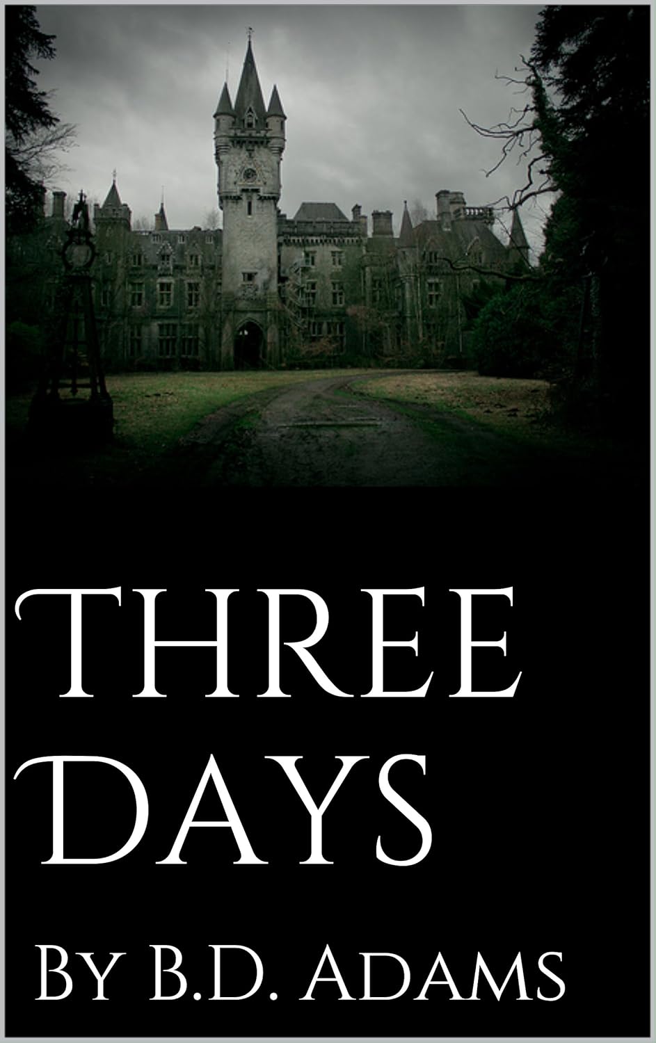 Three Days: By B.D. Adams poster