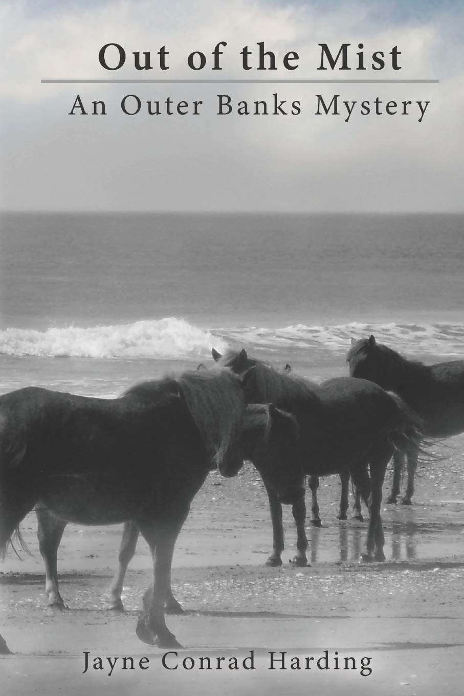 Out of the Mist: An Outer Banks Mystery poster
