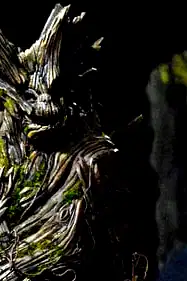 Tree People poster
