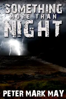 Something More Than Night poster