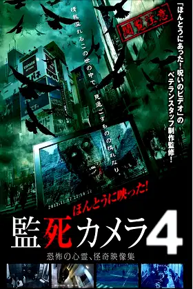 Paranormal Surveillance Camera 4 poster