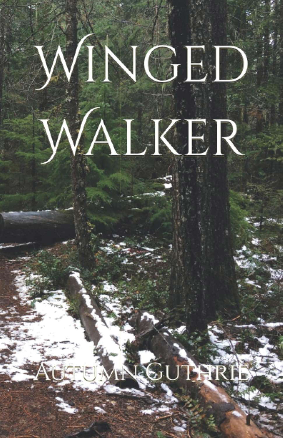 Winged Walker poster