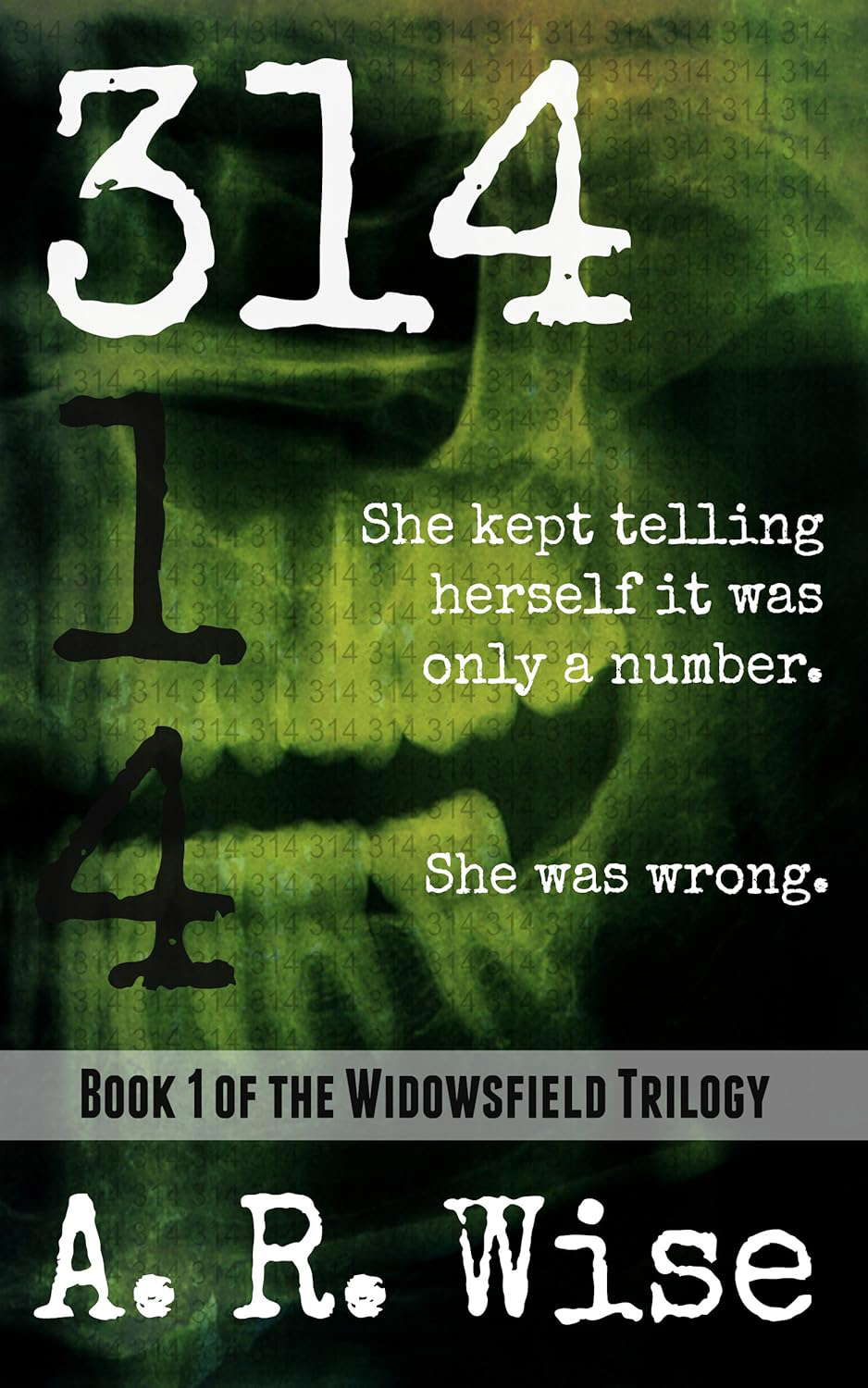 314 (Widowsfield Trilogy Book 1) poster